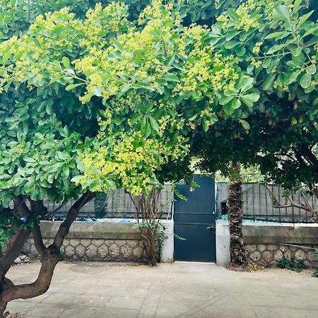 Coursan Maison 23 מראה חיצוני תמונה